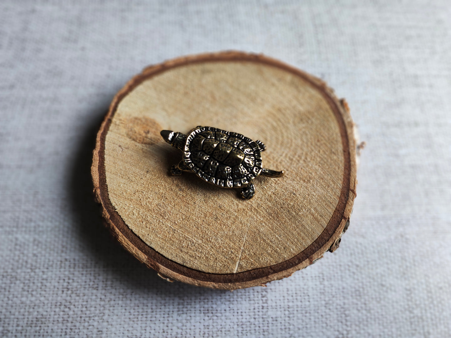 Tortue reptile figurine animal