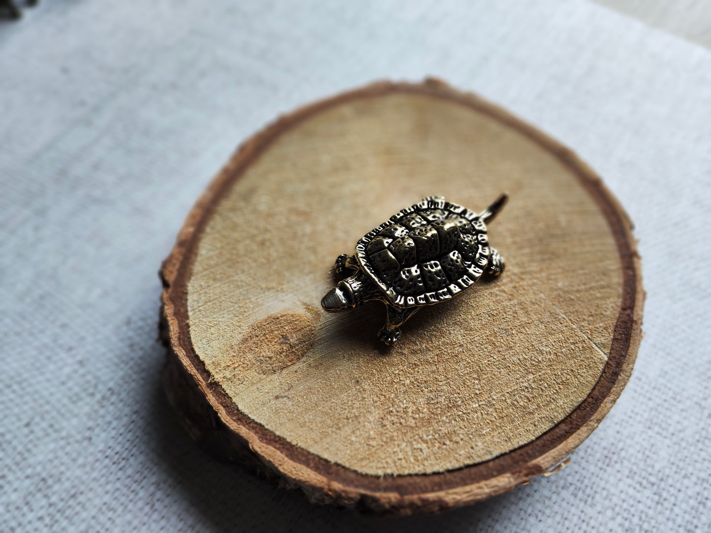 Tortue reptile figurine animal