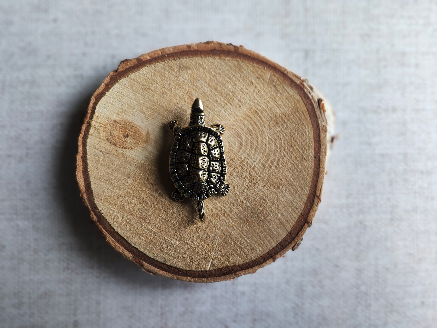 Tortue reptile figurine animal