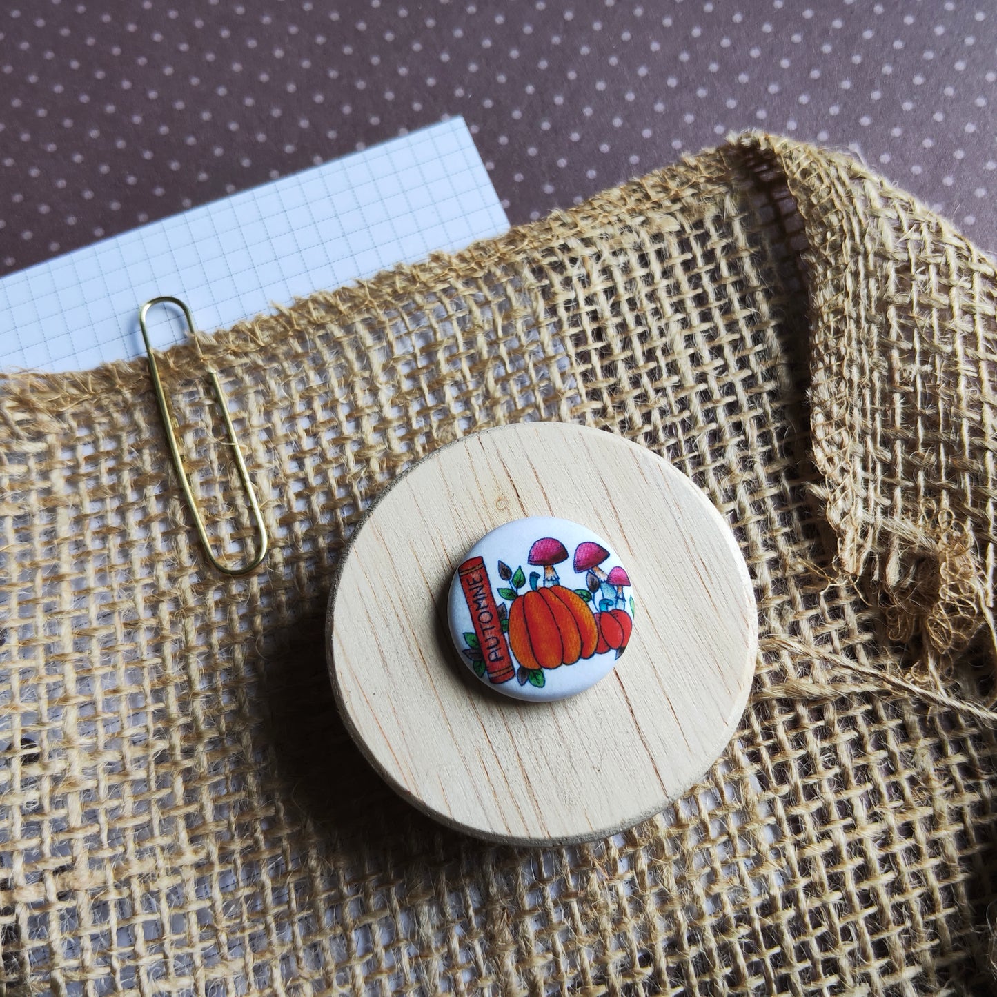Badge Citrouille Livre sur l'automne et petit champignons