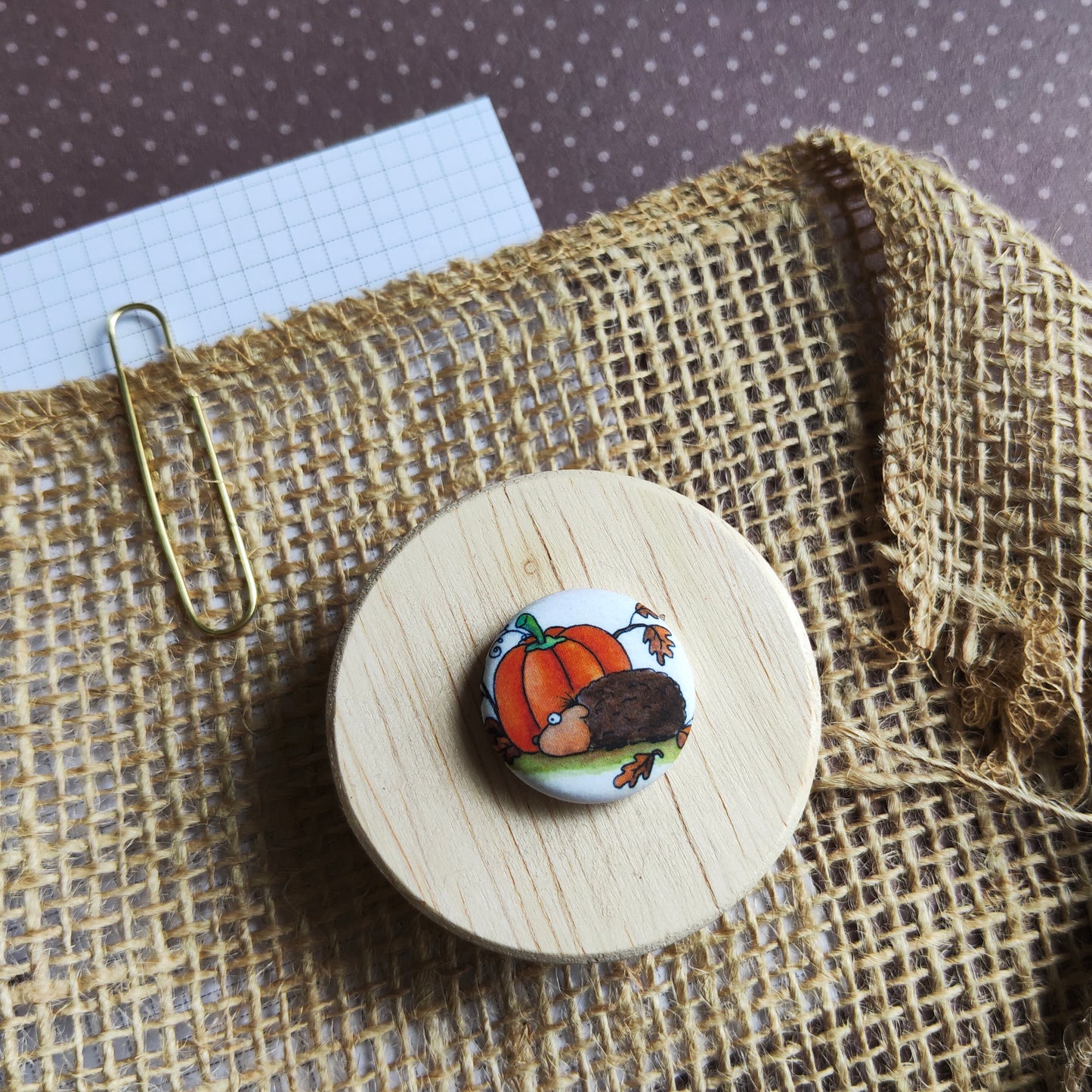 Badge Animal Mignon Hérisson Saison Automne Citrouille Orange