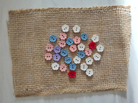 Boutons petite fleurs 5 pétales nature