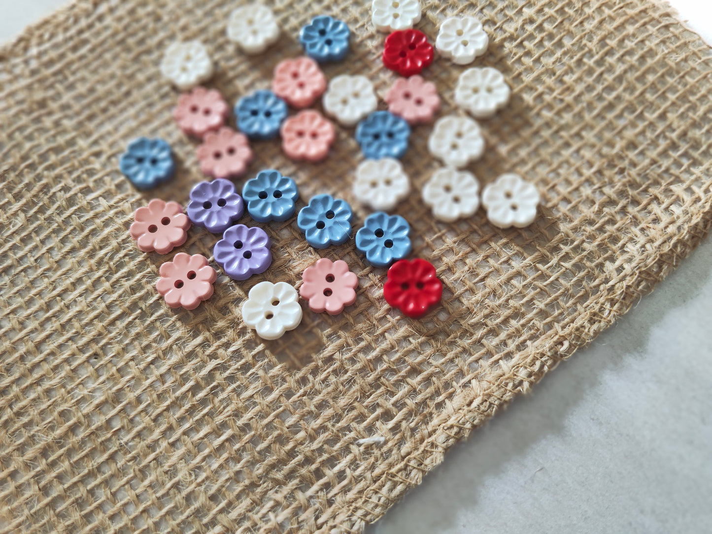 Boutons petite fleurs 5 pétales nature