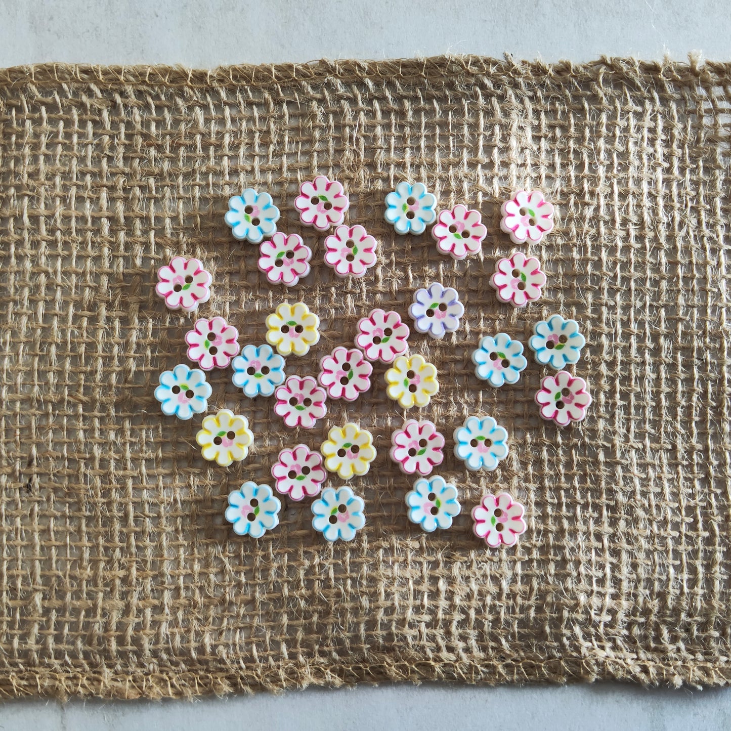 Boutons petite fleurs blanche et couleurs