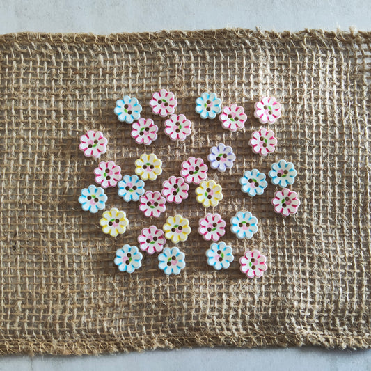 Boutons petite fleurs blanche et couleurs