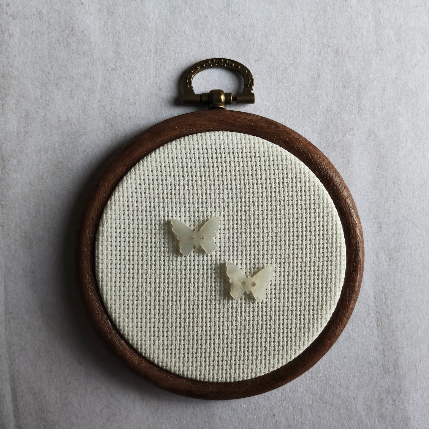 Boutons papillon blanc nacré insecte