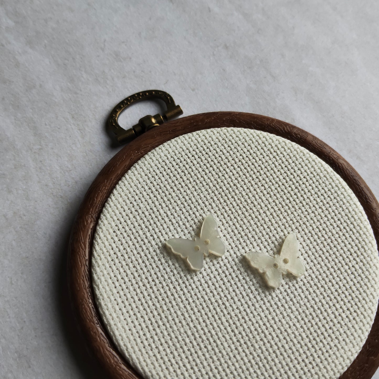 Boutons papillon blanc nacré insecte