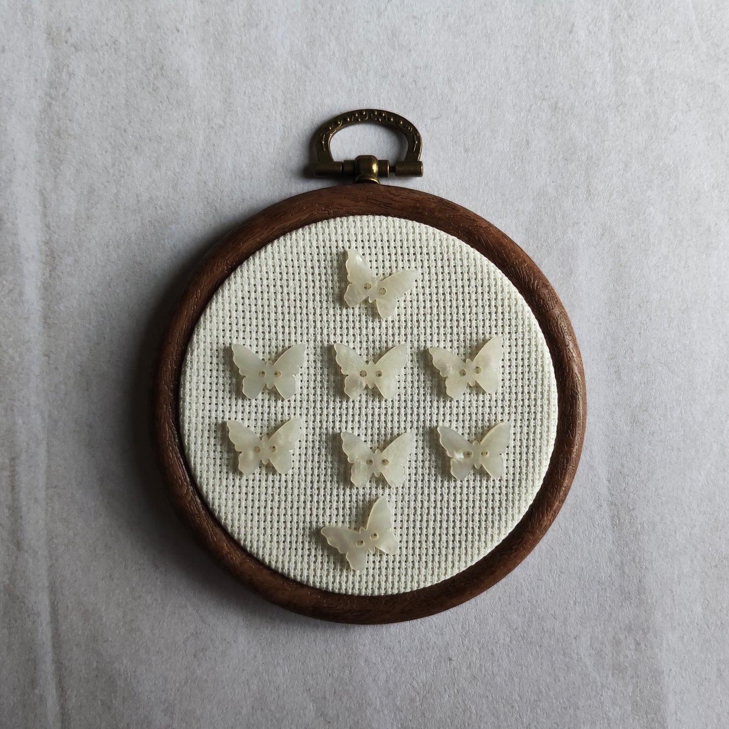 Boutons papillon blanc nacré insecte