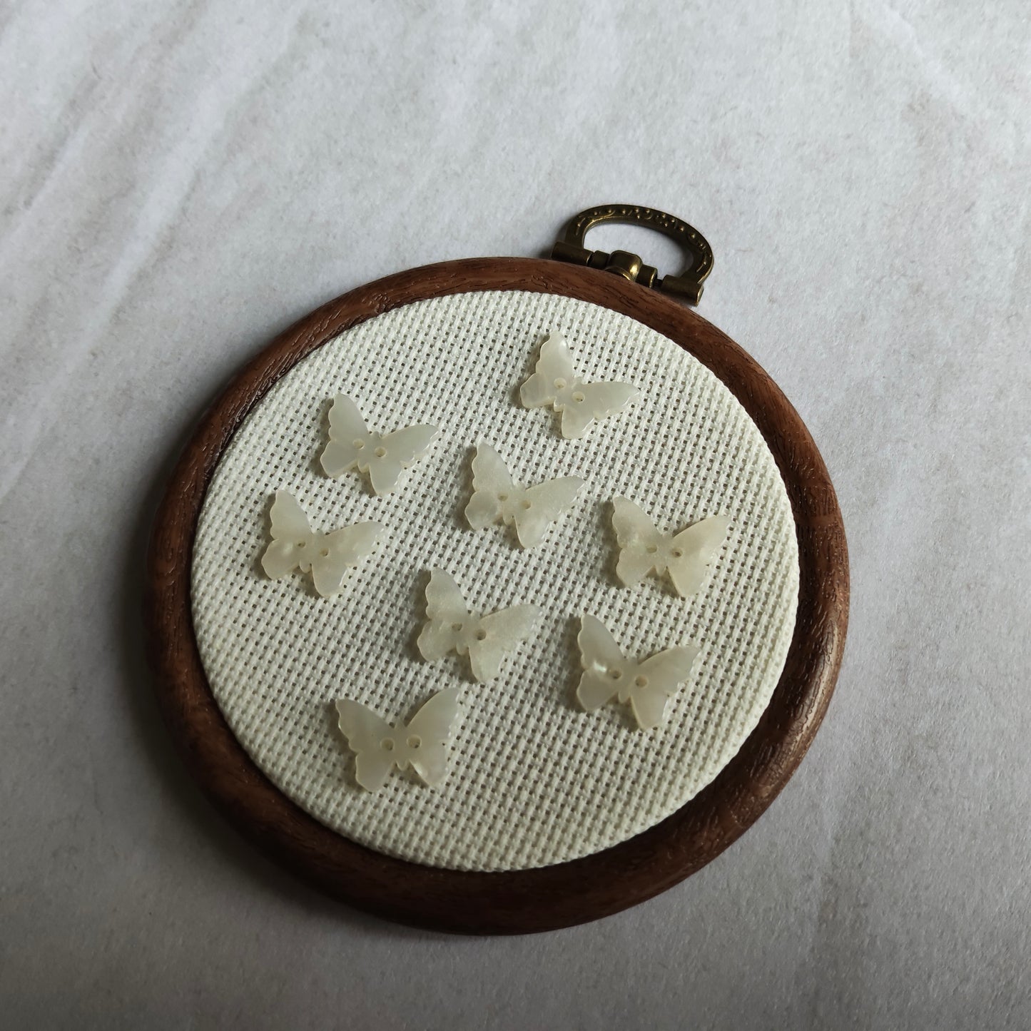 Boutons papillon blanc nacré insecte