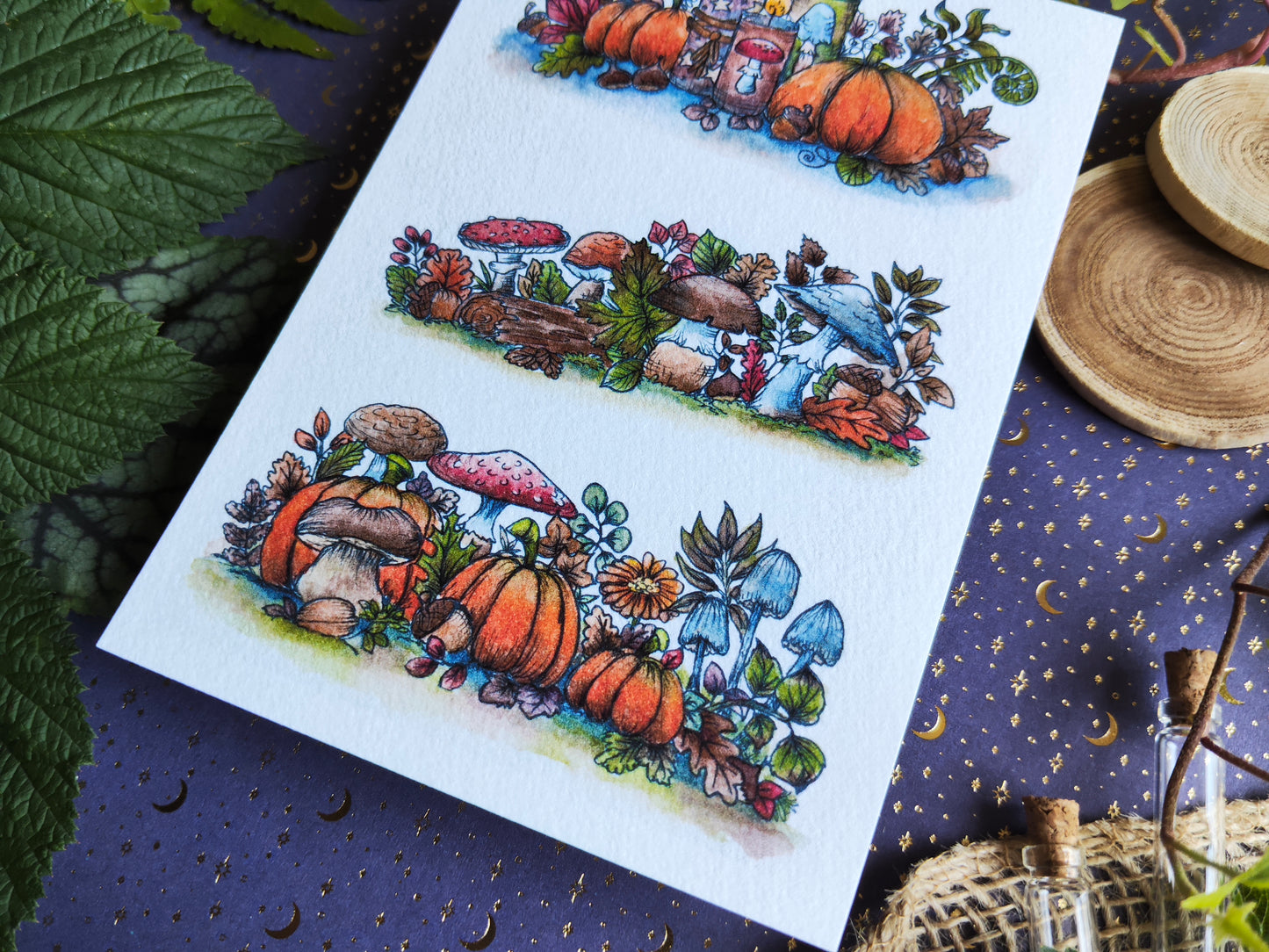 Carte Citrouilles Champignon – Contraste Automnal et Magie