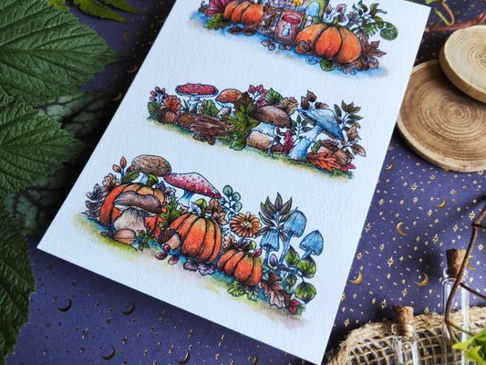 Carte Citrouilles Champignon – Contraste Automnal et Magie
