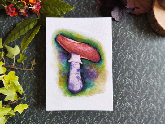 Carte Champignon – Illustration botanique à l’aquarelle
