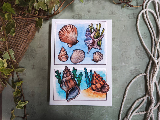 Carte Coquillages et Algues – Trésors de la mer en Aquarelle
