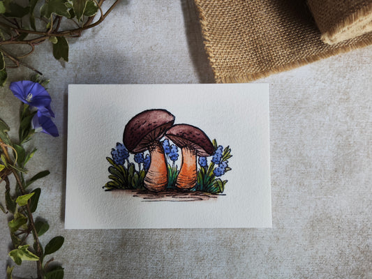 Carte Deux champignons dans les fleurs bleues – Illustration aquarelle