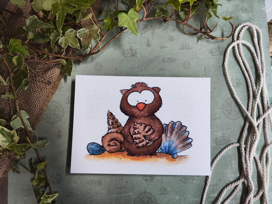 Carte Oiseau Hibou et Coquillage – Illustration Mignonne et Naturelle