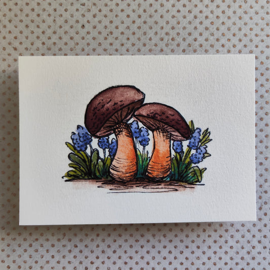 Carte Deux champignons dans les fleurs bleues – Illustration aquarelle