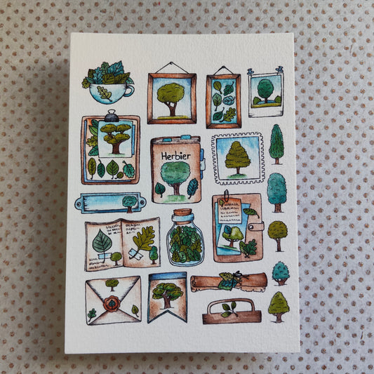 Carte Aquarelle Herbier Arbre et Feuillage – Illustration Nature Verte