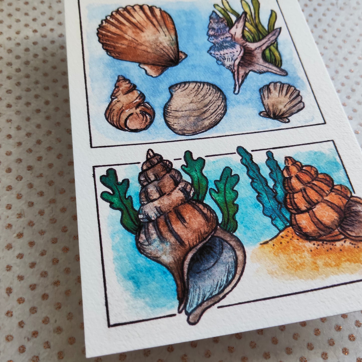 Carte Coquillages et Algues – Trésors de la mer en Aquarelle
