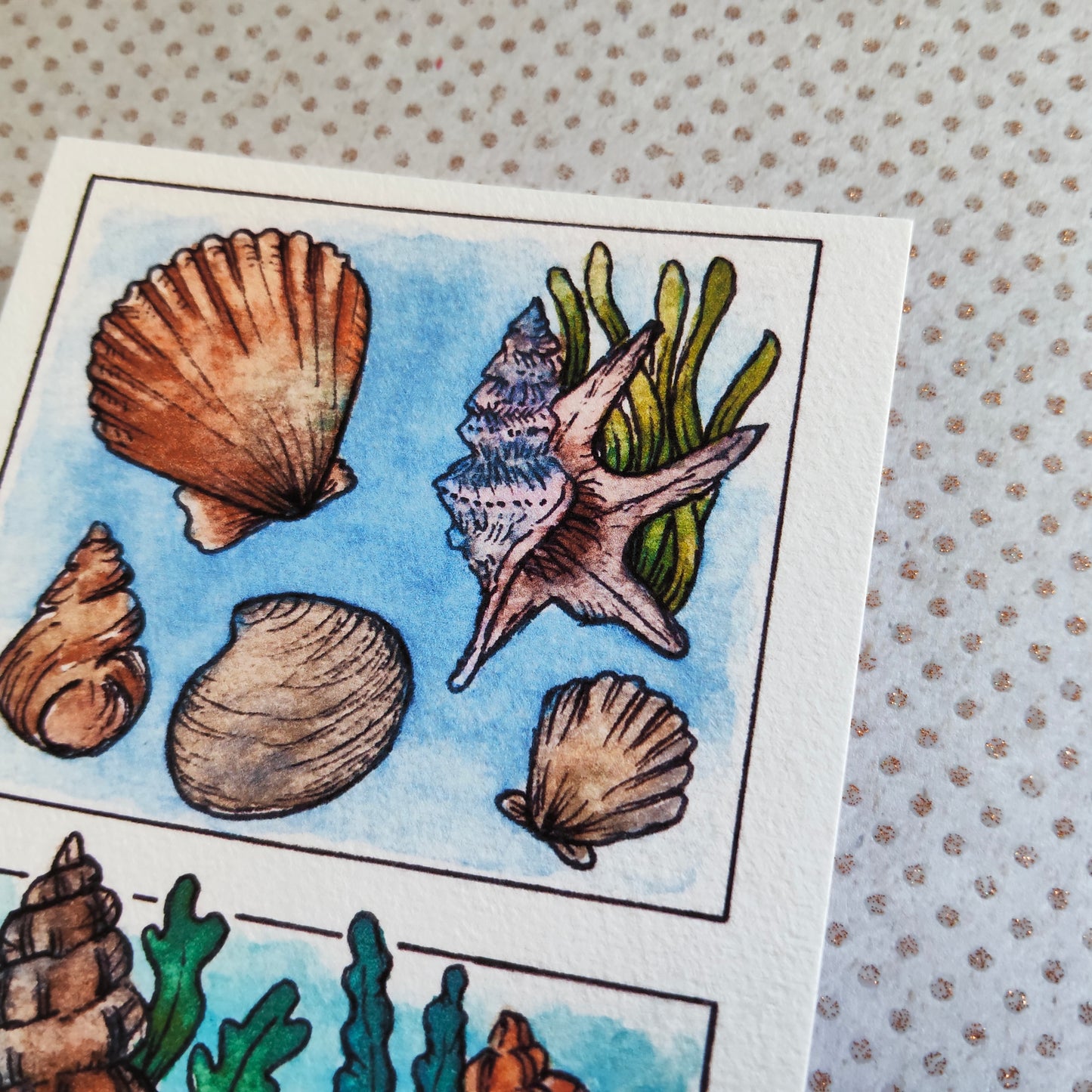 Carte Coquillages et Algues – Trésors de la mer en Aquarelle