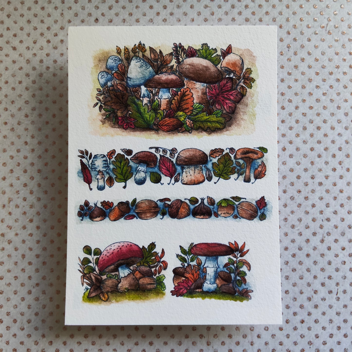 Carte Postale Automne – Champignons, Marrons, Glands et Déco Naturelle