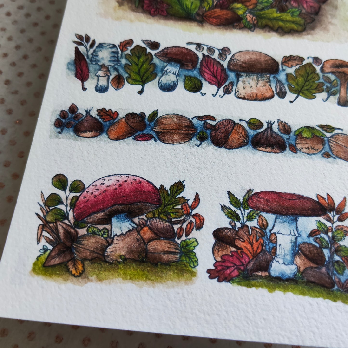 Carte Postale Automne – Champignons, Marrons, Glands et Déco Naturelle