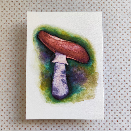 Carte Champignon – Illustration botanique à l’aquarelle