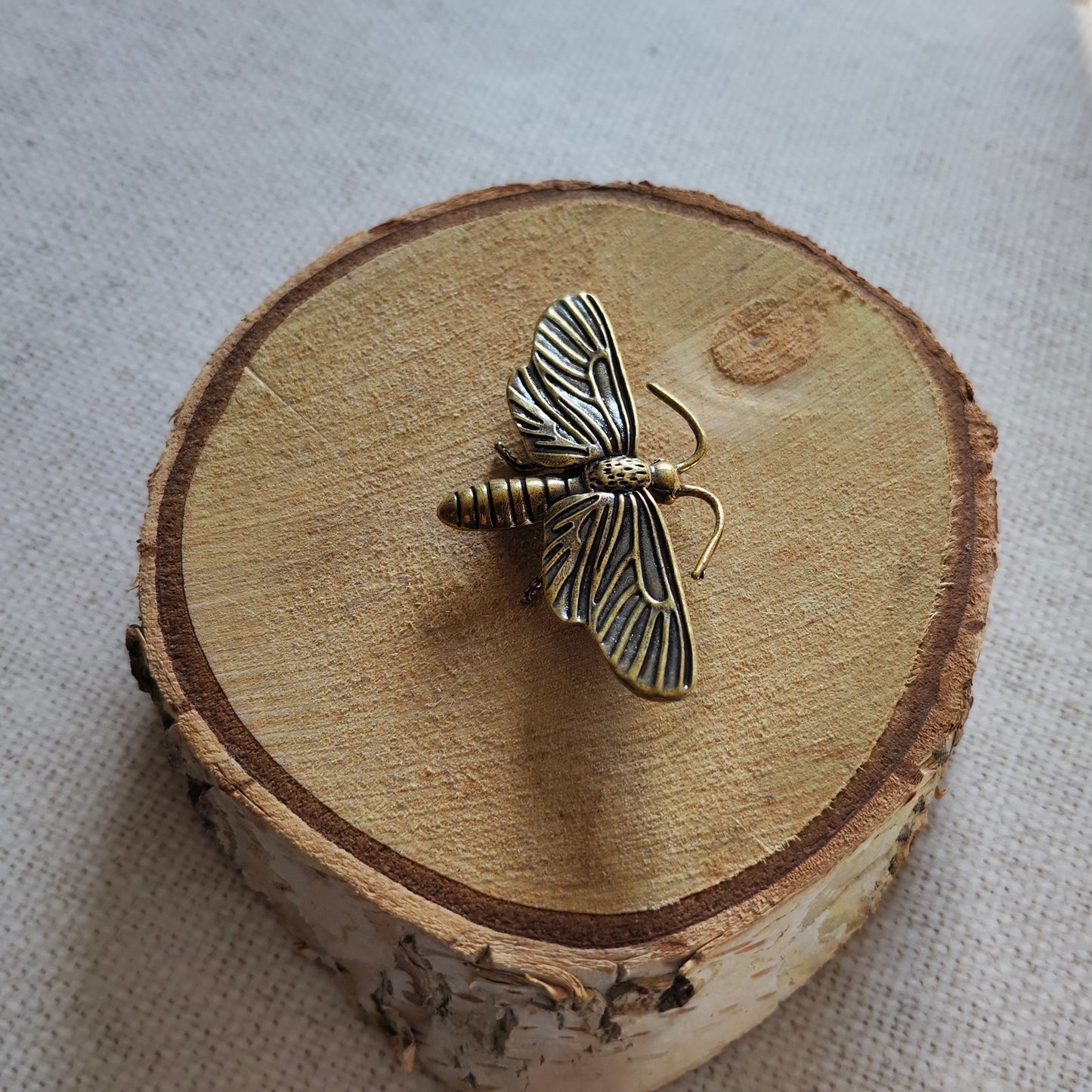 Papillon de nuit Insecte Animal Figurine Laiton