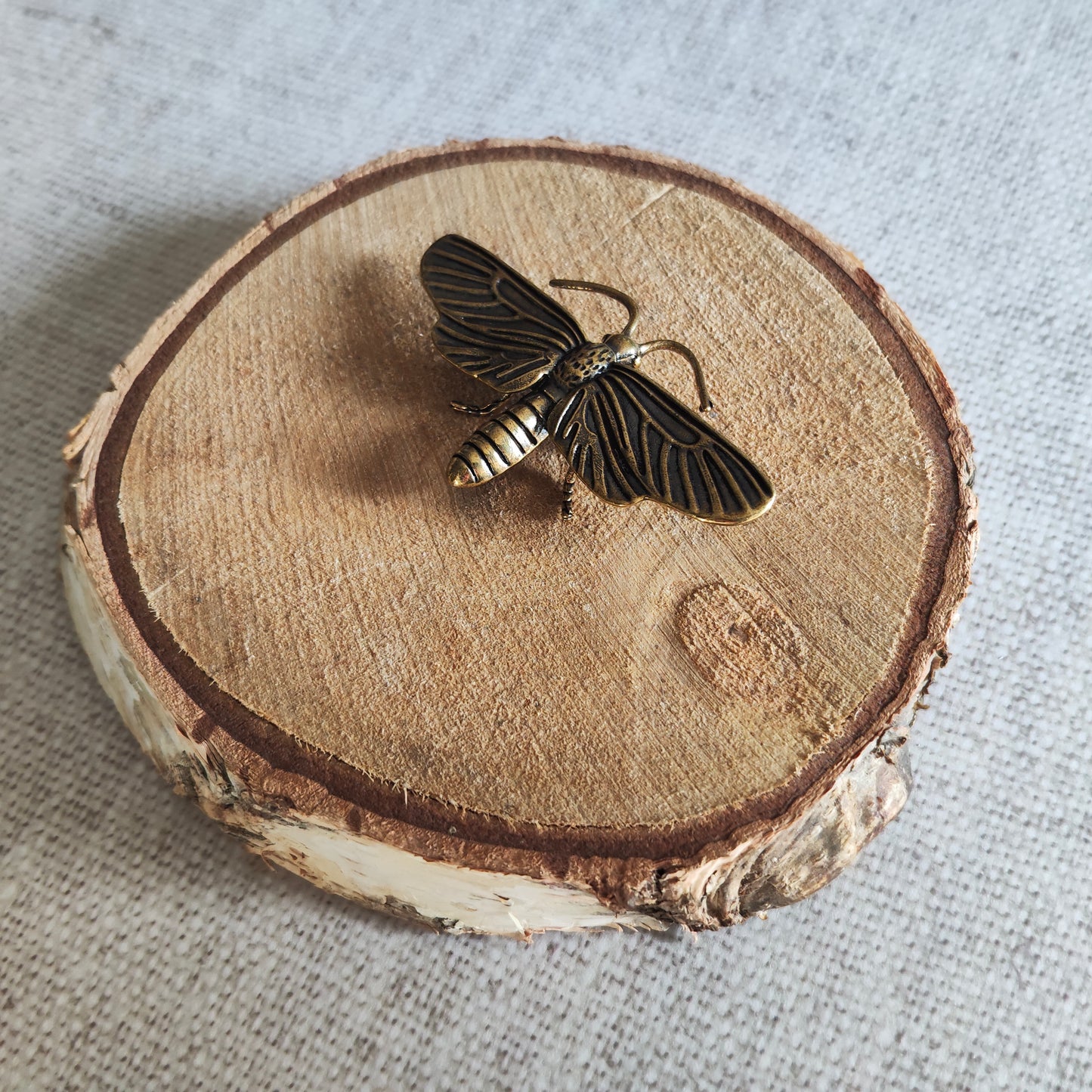 Papillon de nuit Insecte Animal Figurine Laiton