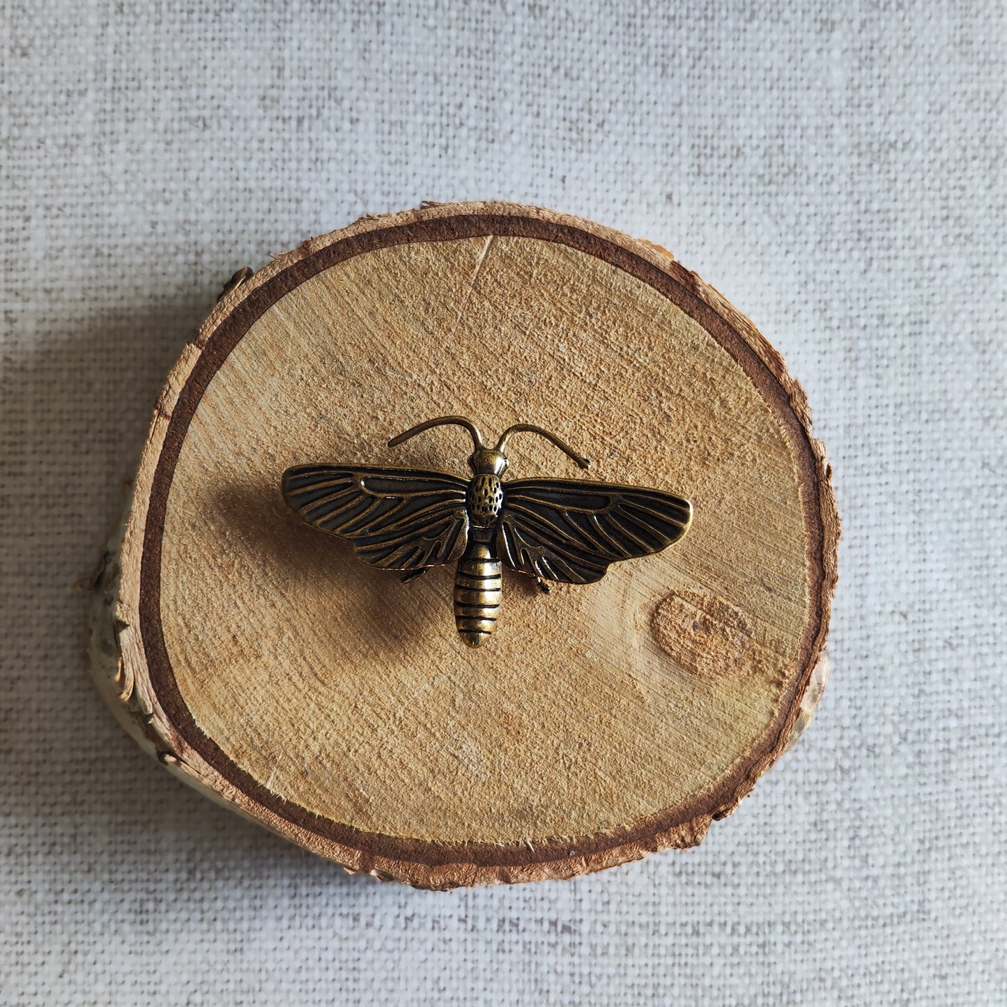 Papillon de nuit Insecte Animal Figurine Laiton