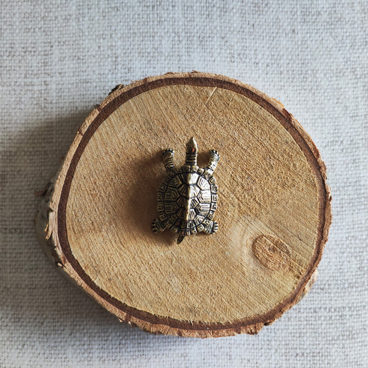 Tortue terrestre figurine animal reptile