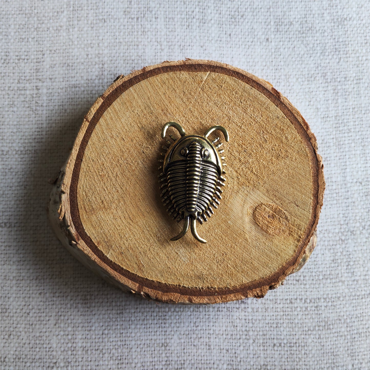 Figurine Animal trilobite laiton Miniature