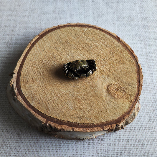 Petit crabe crustacé laiton animal marin