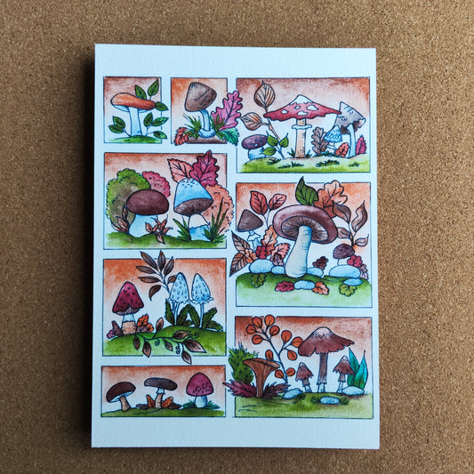 Affiche A5 Champignon Saison Automne Moodboard