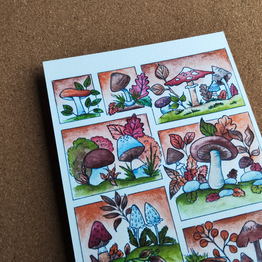 Affiche A5 Champignon Saison Automne Moodboard