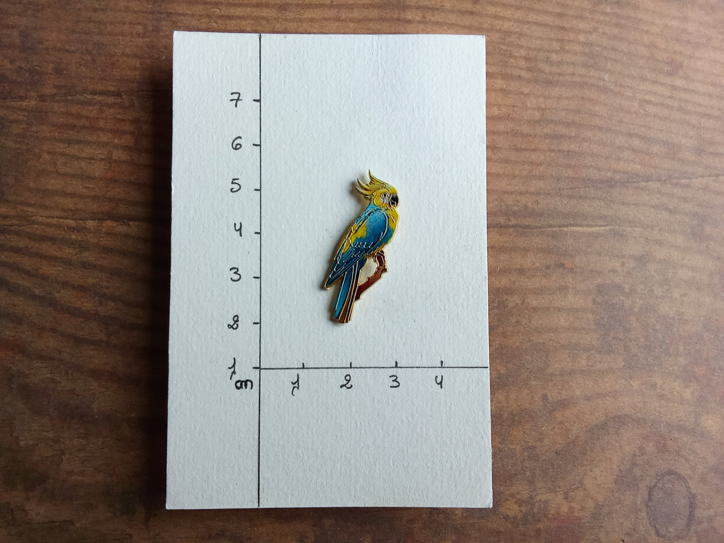 Pin's Perroquet Oiseau tropicale Animal Jaune Bleu