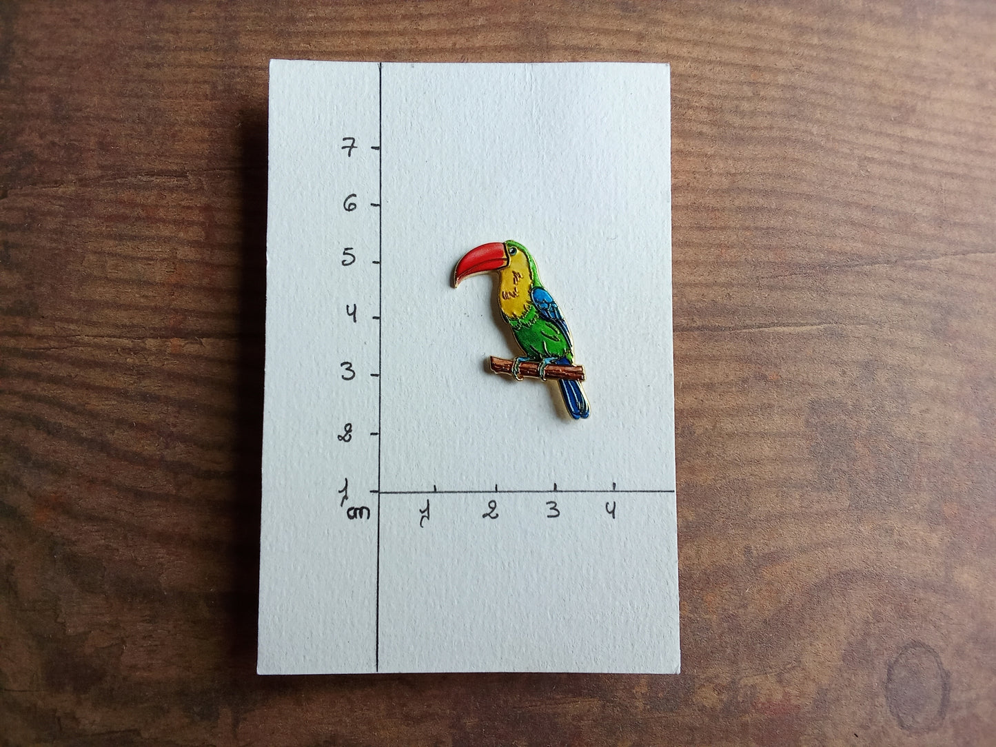 Pin's Toucan Oiseau tropicale Animal Vert Jaune