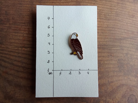 Pin's aigle pygargue oiseau Animal Rapace