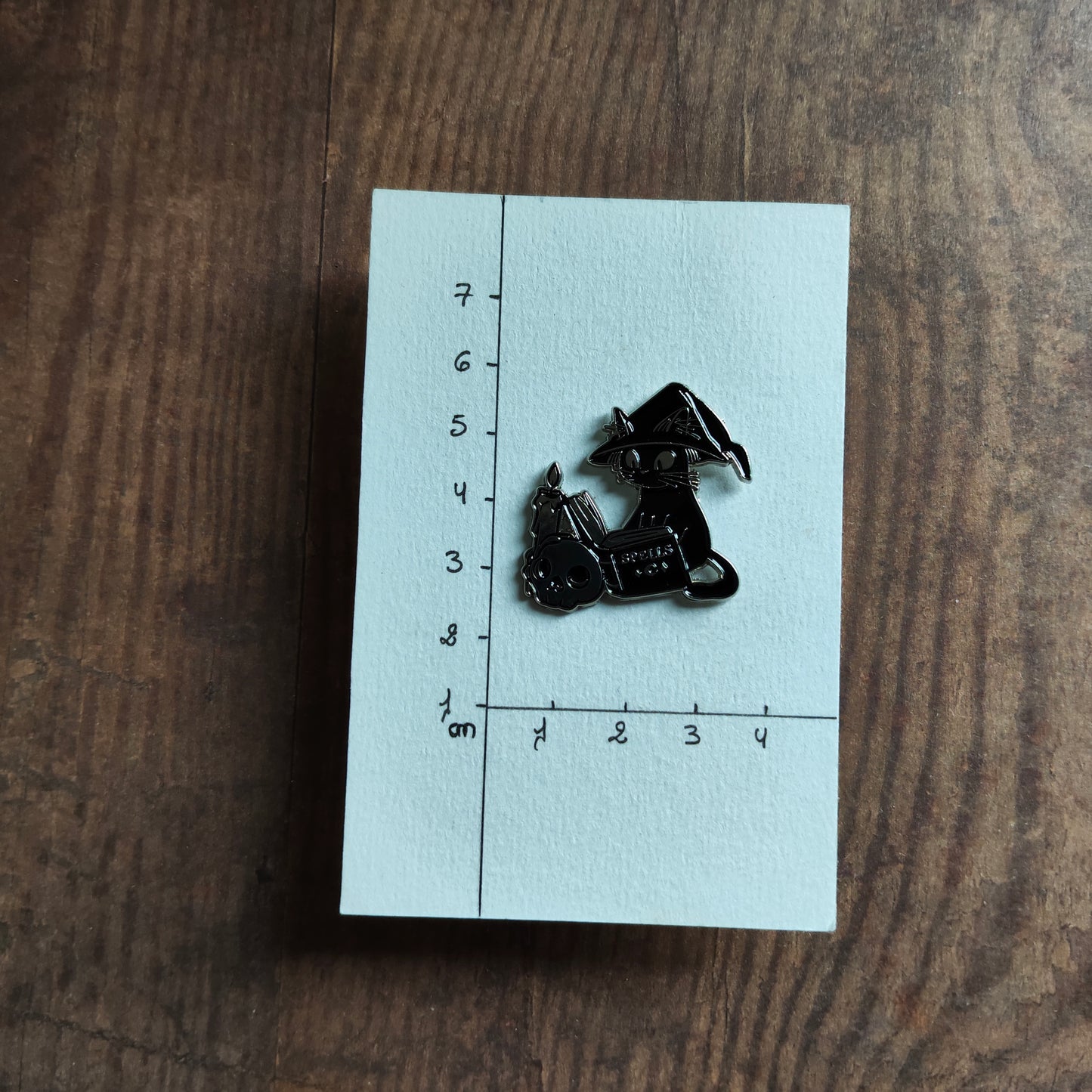 Pin's Chat noir et argent Magie Crane Sorcier