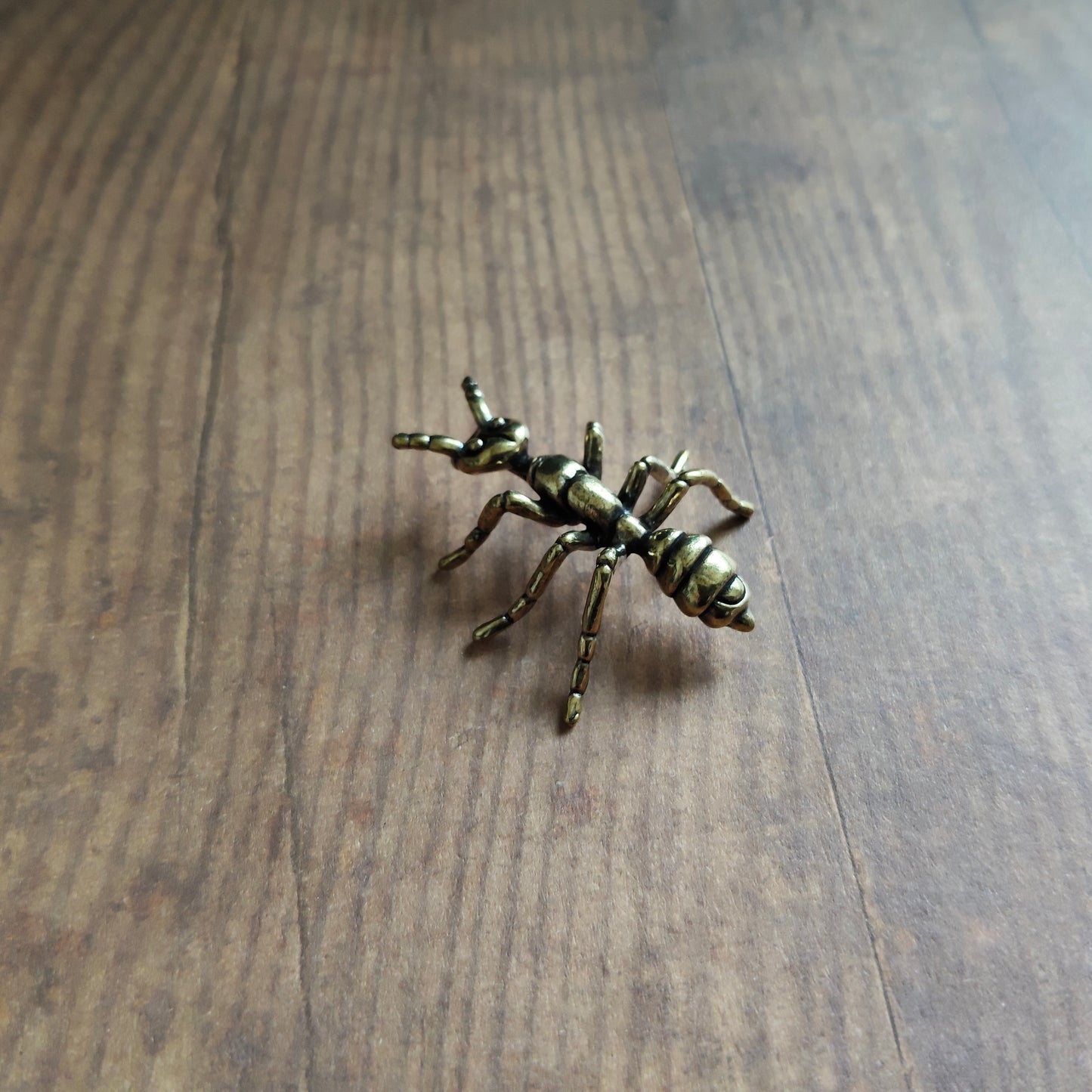 Figurine fourmi Insecte animal laiton miniature