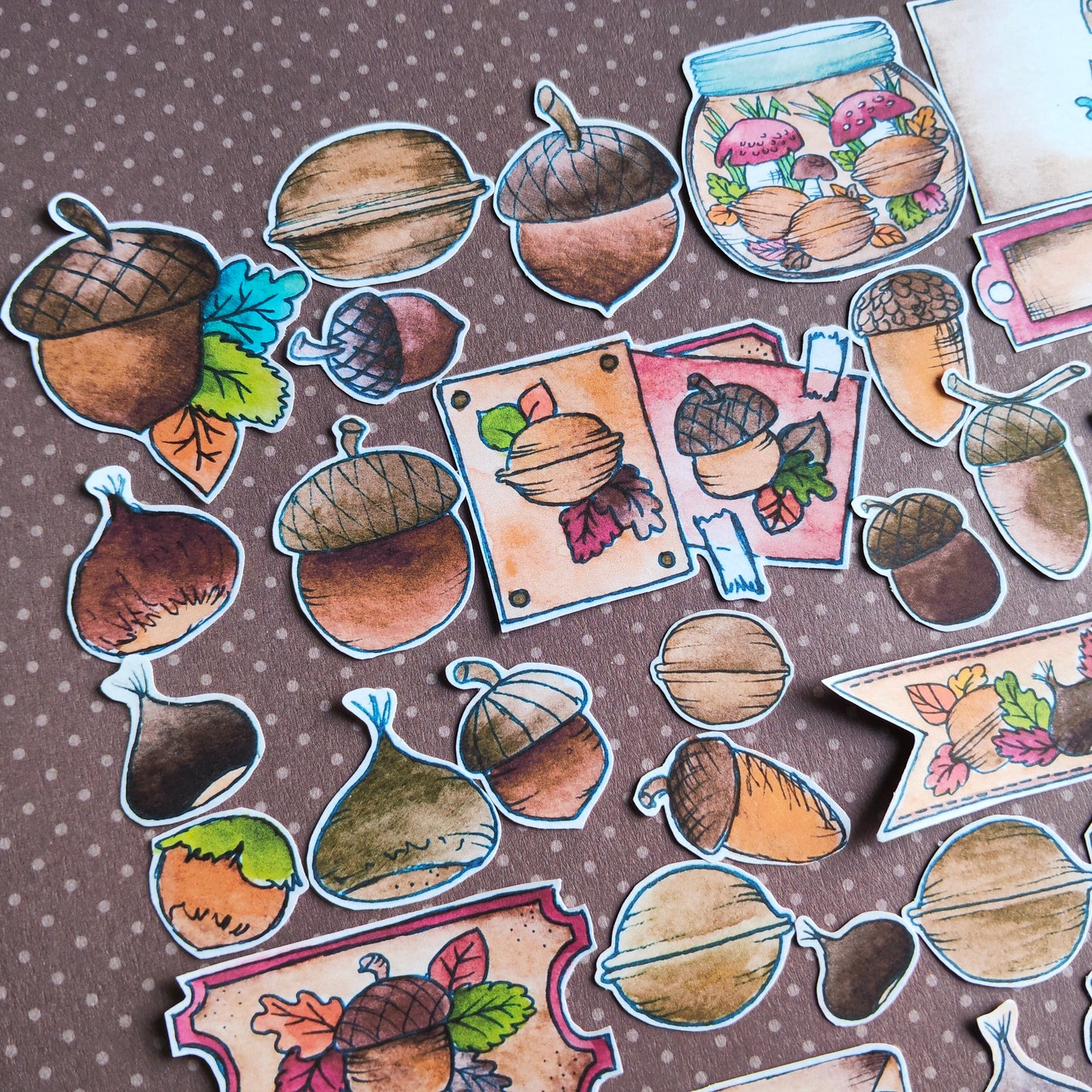 Stickers Automne Gland Marron Noix – Lot d'autocollants à l’aquarelle - Illustrations Saison Automnale Octobre Novembre
