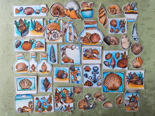 Stickers coquillages – Lot de 38 autocollants d’été à l’aquarelle - Illustrations nature et océan