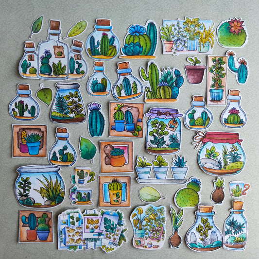 Stickers Plante Cactus –Illustration Cactée succulente - Nature Jardin d'intérieur plante verte