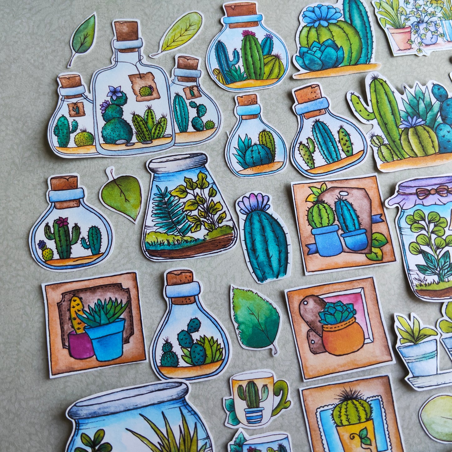 Stickers Plante Cactus –Illustration Cactée succulente - Nature Jardin d'intérieur plante verte