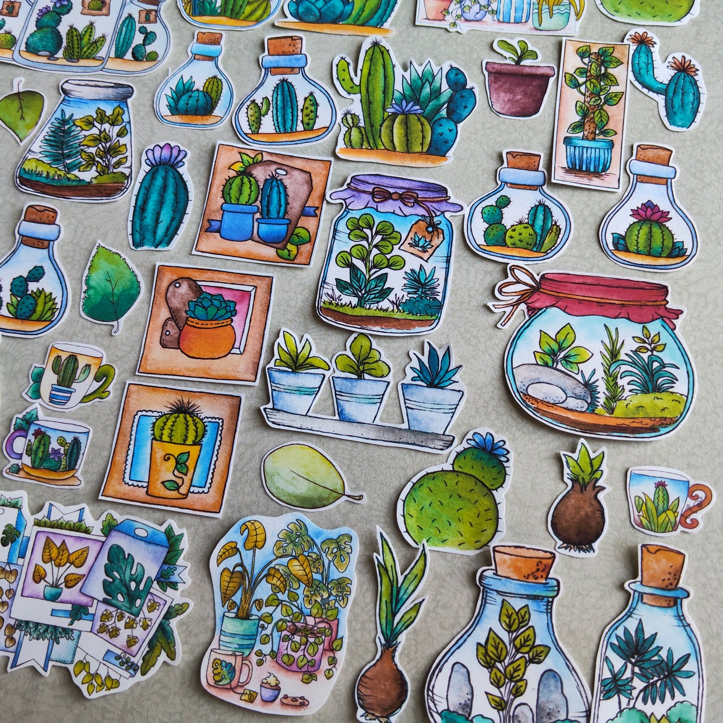 Stickers Plante Cactus –Illustration Cactée succulente - Nature Jardin d'intérieur plante verte