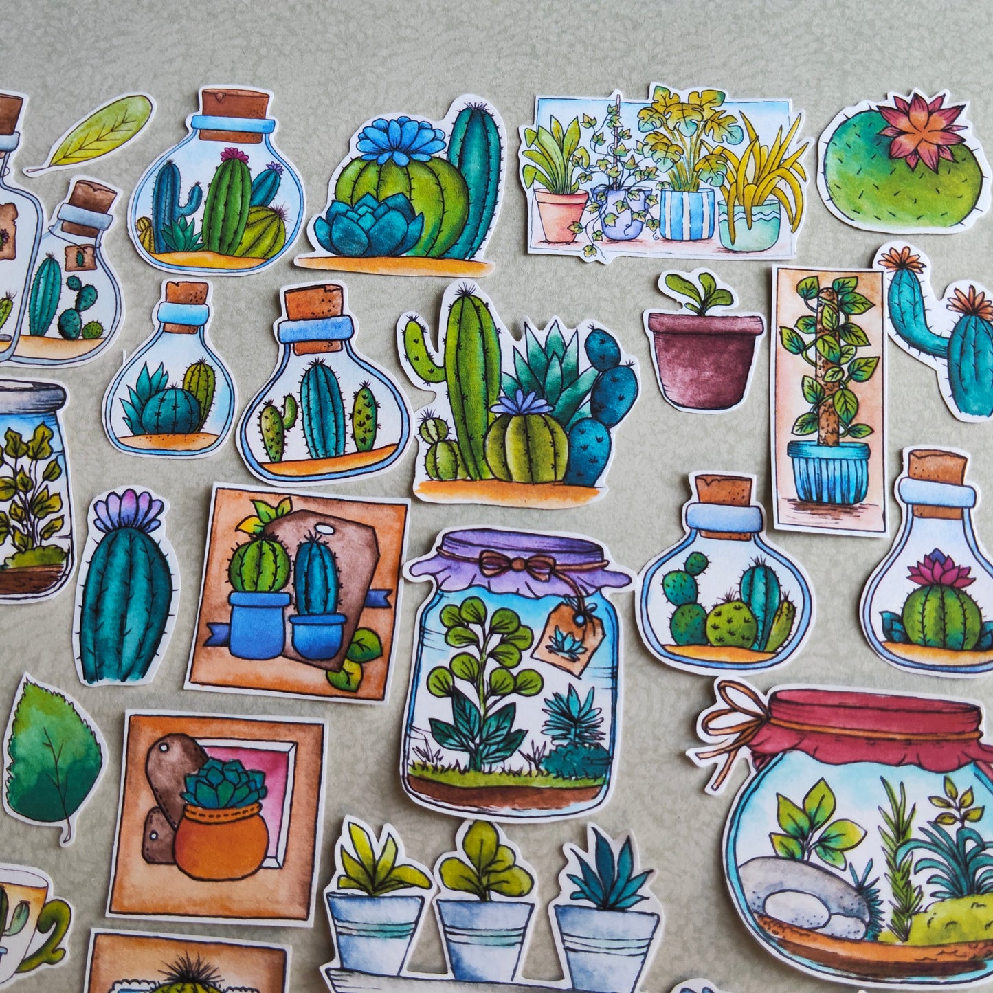 Stickers Plante Cactus –Illustration Cactée succulente - Nature Jardin d'intérieur plante verte