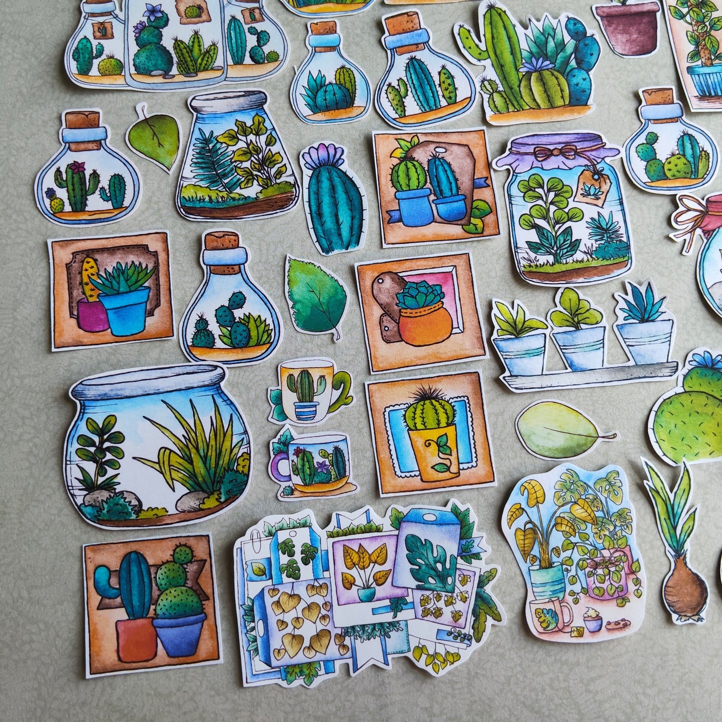 Stickers Plante Cactus –Illustration Cactée succulente - Nature Jardin d'intérieur plante verte