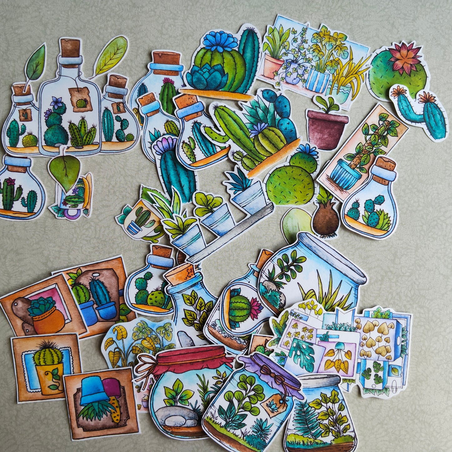 Stickers Plante Cactus –Illustration Cactée succulente - Nature Jardin d'intérieur plante verte