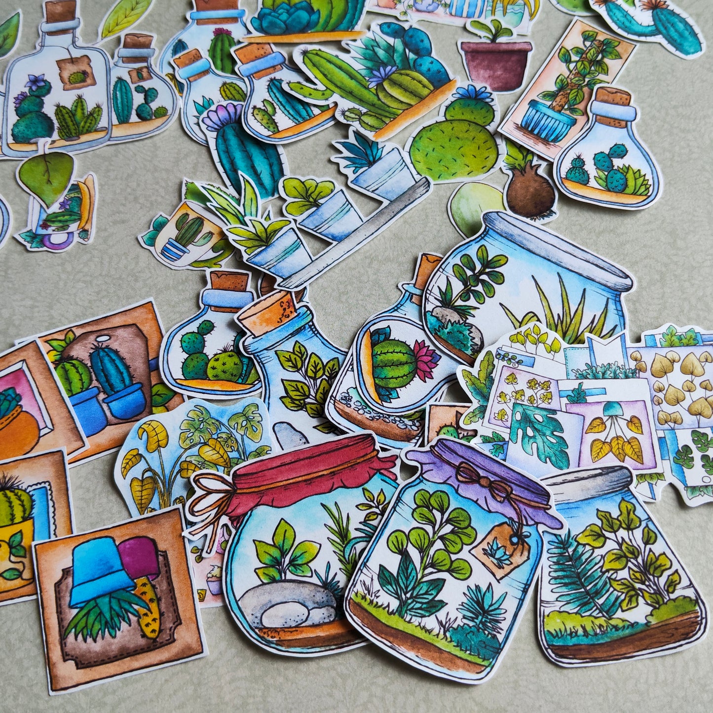 Stickers Plante Cactus –Illustration Cactée succulente - Nature Jardin d'intérieur plante verte