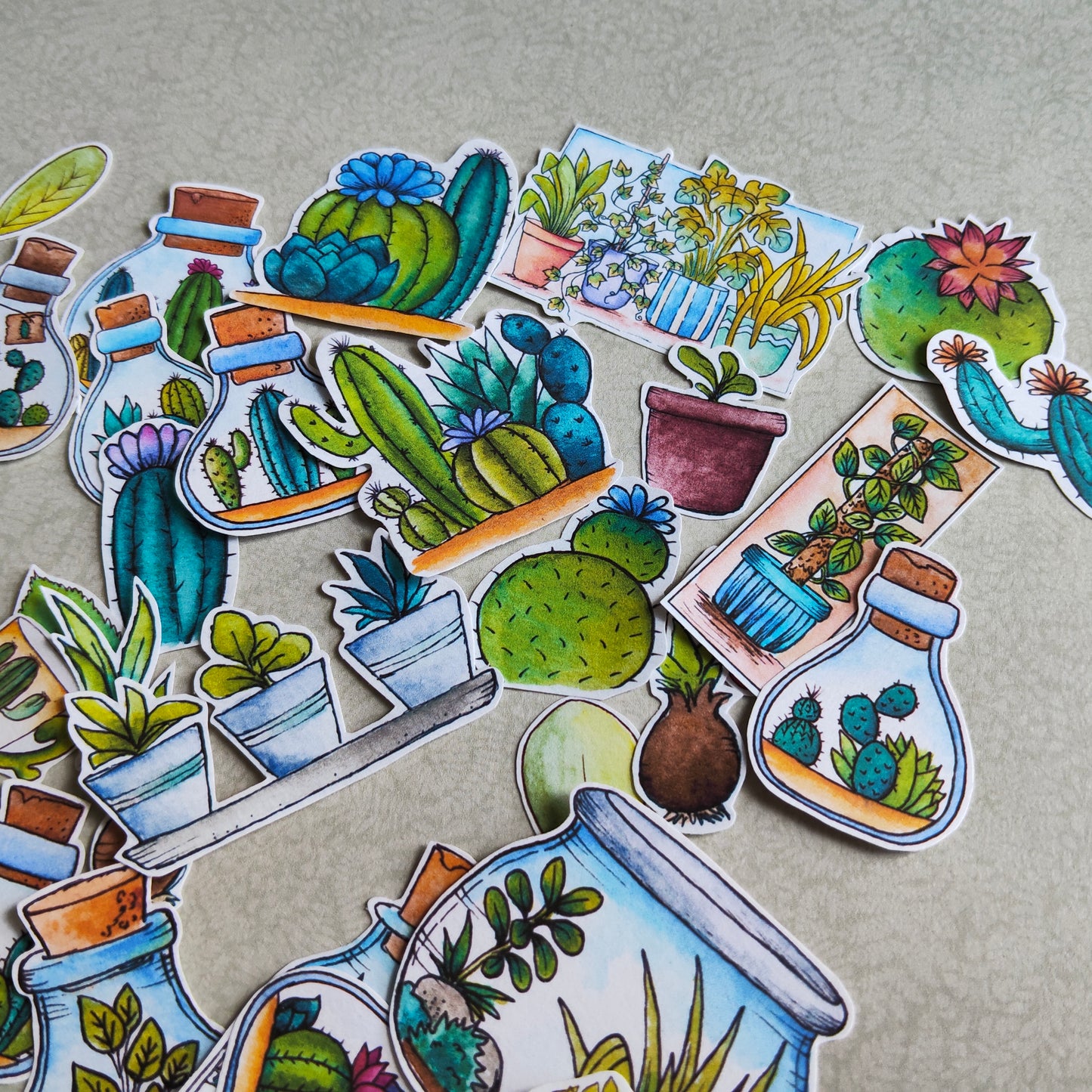 Stickers Plante Cactus –Illustration Cactée succulente - Nature Jardin d'intérieur plante verte