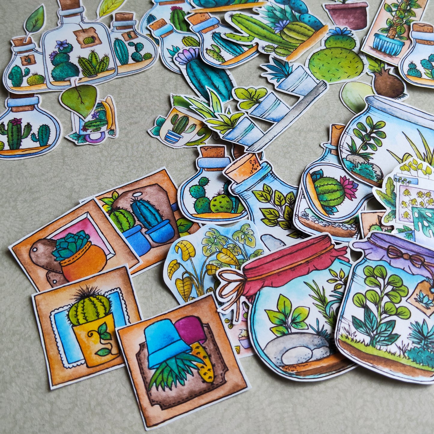 Stickers Plante Cactus –Illustration Cactée succulente - Nature Jardin d'intérieur plante verte